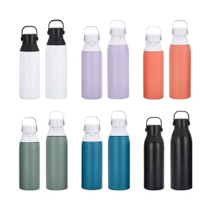 500ml 750ml Stainless Steel Filtering Water Bottle Insulated Water Bottles